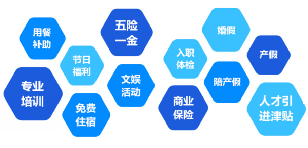 提供全面、系統(tǒng)、專業(yè)的培訓(xùn)和廣闊的<br>職業(yè)發(fā)展空間和提升機會